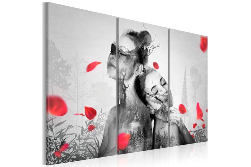 Taulu Natural Beauties 60x40 - Artgeist sp. z o. o. - Sisustustuotteet - Taulu & taide - Canvas-taulu
