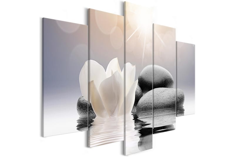Taulu Natural Lightness 5 Parts Wide 200x100 - Artgeist sp. z o. o. - Sisustustuotteet - Taulu & taide - Canvas-taulu