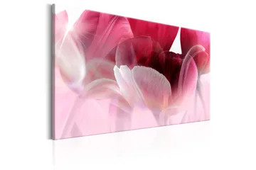 Taulu Nature: Pink Tulips 120x80 - Artgeist sp. z o. o. - Sisustustuotteet - Taulu & taide - Canvas-taulu