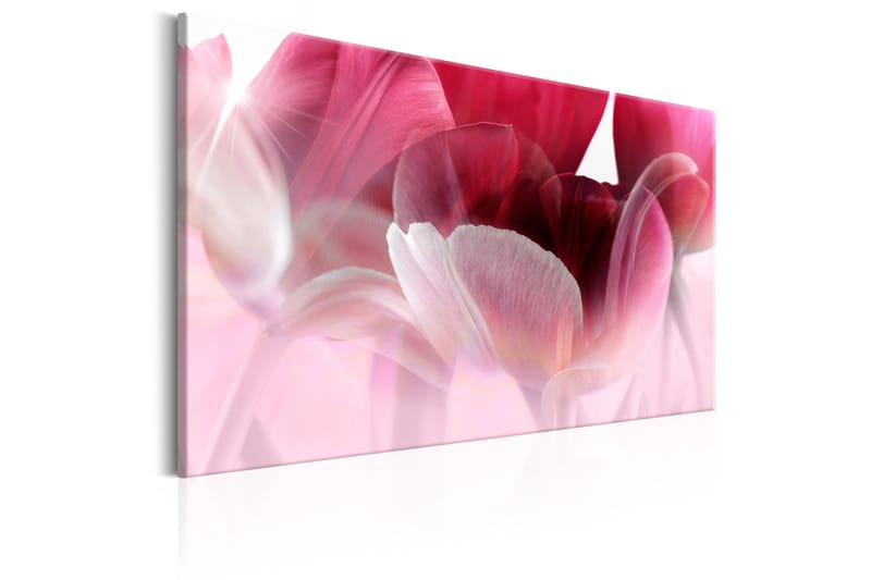 Taulu Nature: Pink Tulips 90x60 - Artgeist sp. z o. o. - Sisustustuotteet - Taulu & taide - Canvas-taulu