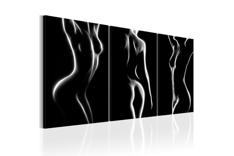 Taulu Night of Senses 60x30 - Artgeist sp. z o. o. - Sisustustuotteet - Taulu & taide - Canvas-taulu