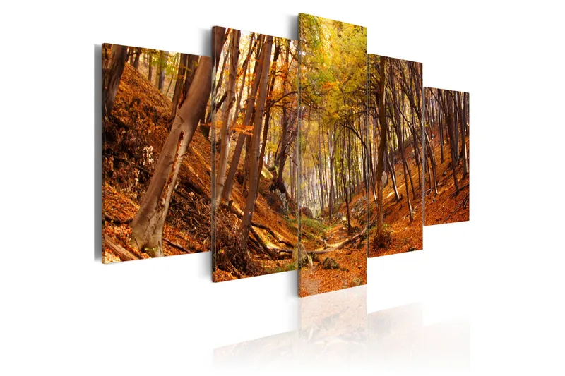 Taulu Orange Autumn 200x100, Artgeist sp. z o. o.