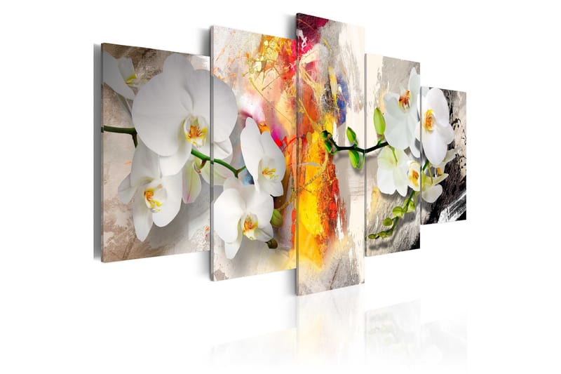 Taulu Orchid And Colors 200x100, Artgeist sp. z o. o.