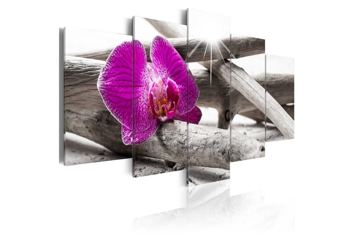 Taulu Orchid On Beach 100x50 - Artgeist sp. z o. o. - Canvas-taulu - Seinäkoristeet