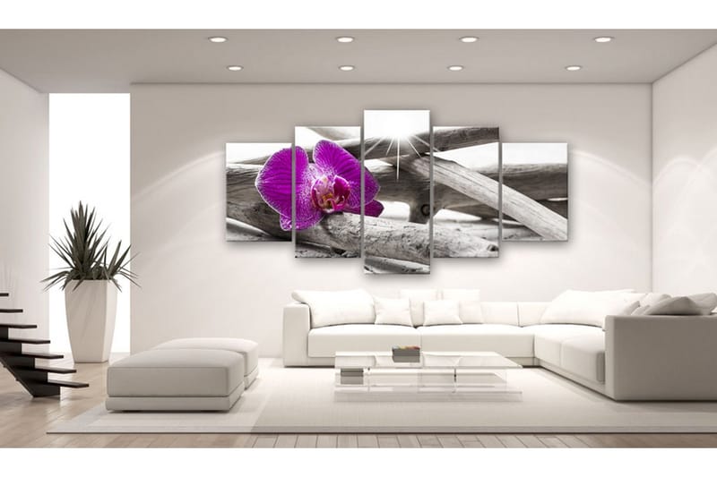 Taulu Orchid On Beach 100x50 - Artgeist sp. z o. o. - Sisustustuotteet - Taulu & taide - Canvas-taulu