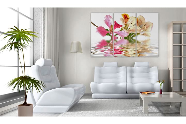 Taulu Orchid With Colorful Spots 120x80 - Artgeist sp. z o. o. - Canvas-taulu - Seinäkoristeet