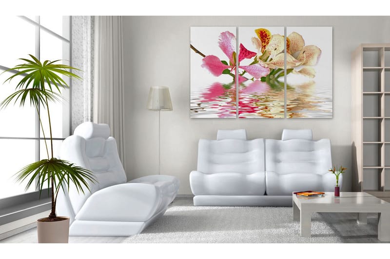 Taulu Orchid With Colorful Spots 60x40 - Artgeist sp. z o. o. - Sisustustuotteet - Taulu & taide - Canvas-taulu