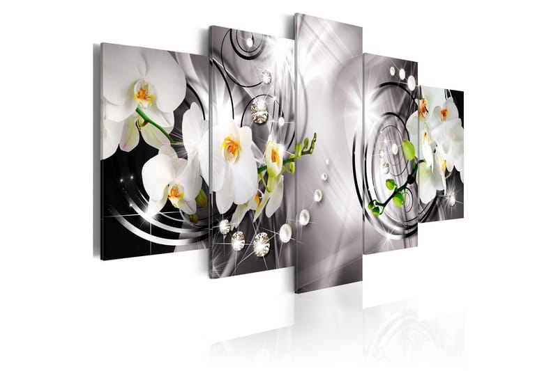 Taulu Orchid Pearls And Diamonds 100x50, Artgeist sp. z o. o.