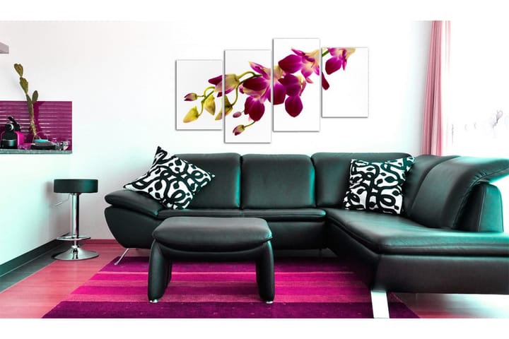 Taulu Orchids glow 80x45 - Artgeist sp. z o. o. - Canvas-taulu - Seinäkoristeet