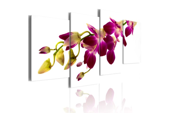 Taulu Orchids glow 80x45 - Artgeist sp. z o. o. - Canvas-taulu - Seinäkoristeet