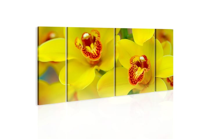 Taulu Orchids Intensity Of Yellow Color 120x60 - Artgeist sp. z o. o. - Canvas-taulu - Seinäkoristeet
