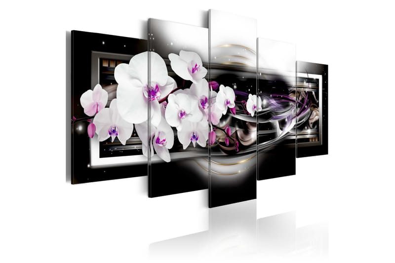 Taulu Orchids On A Black Background 200x100, Artgeist sp. z o. o.