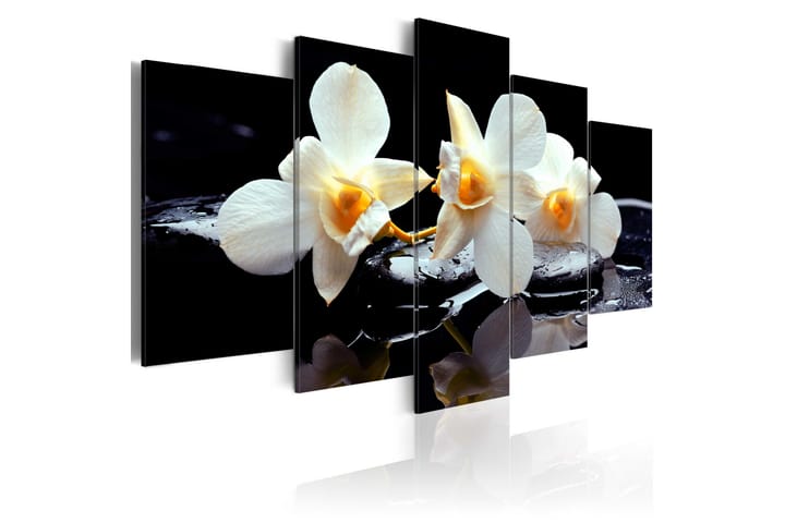 Taulu Orchids With Orange Accent 100x50 - Artgeist sp. z o. o. - Canvas-taulu - Seinäkoristeet