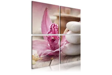 Taulu Orkidé ja zen 60x60 - Artgeist sp. z o. o. - Sisustustuotteet - Taulu & taide - Canvas-taulu