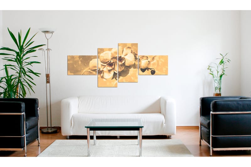 Taulu Orkideat Sepia 100x45 - Artgeist sp. z o. o. - Sisustustuotteet - Taulu & taide - Canvas-taulu