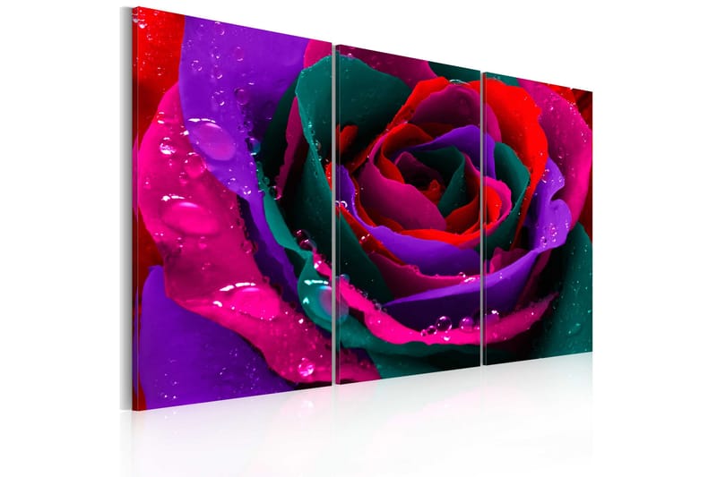 Taulu Rainbow-colored Rose 120x80, Artgeist sp. z o. o.