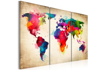 Taulu Rainbow Continents 60x40