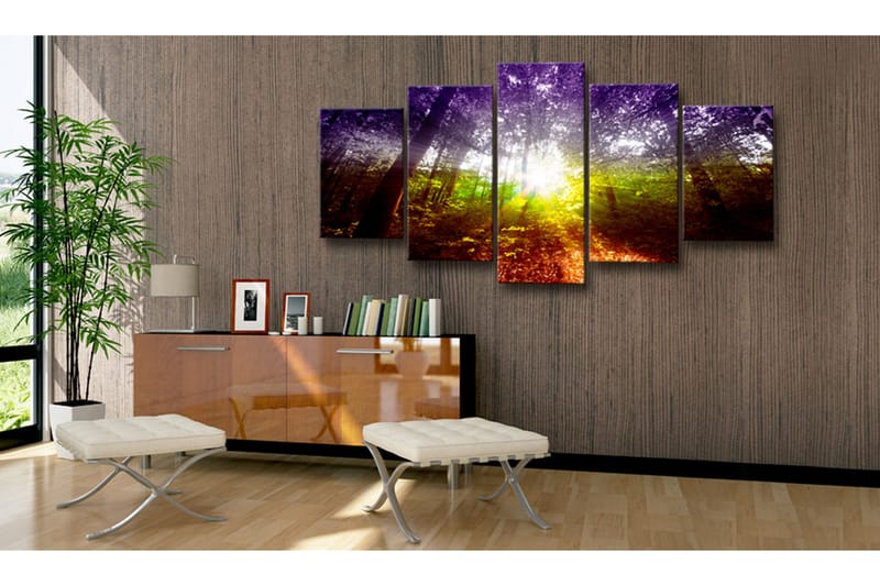 Taulu Rainbow Forest 100x50 - Artgeist sp. z o. o. - Sisustustuotteet - Taulu & taide - Canvas-taulu