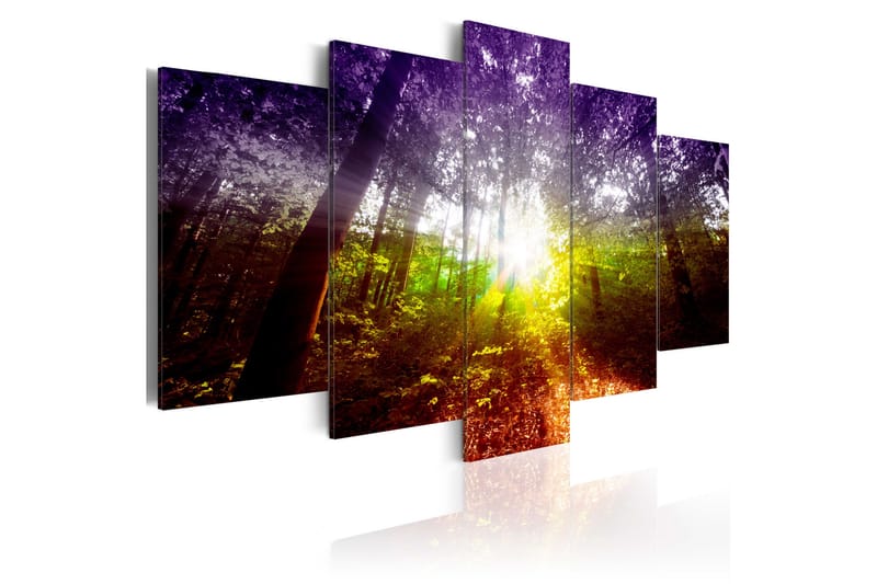 Taulu Rainbow Forest 100x50 - Artgeist sp. z o. o. - Sisustustuotteet - Taulu & taide - Canvas-taulu