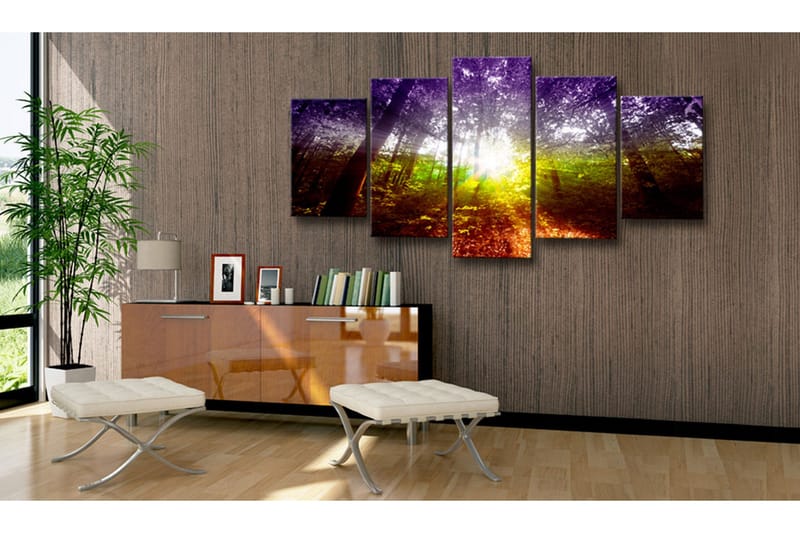 Taulu Rainbow Forest 100x50 - Artgeist sp. z o. o. - Sisustustuotteet - Taulu & taide - Canvas-taulu