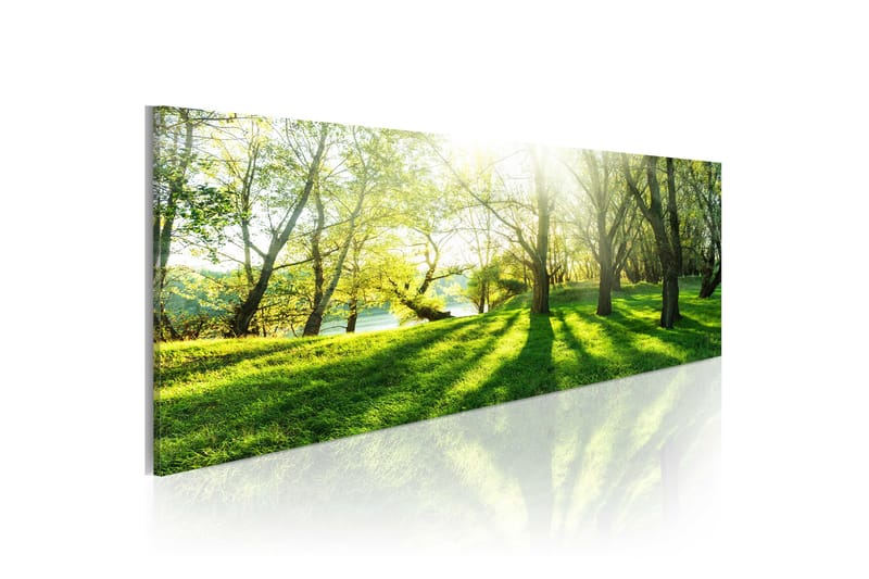 Taulu Rays Of Sunshine 135x45 - Artgeist sp. z o. o. - Canvas-taulu - Seinäkoristeet