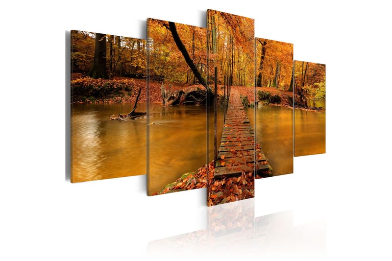 Taulu Redness Of Autumn 200x100, Artgeist sp. z o. o.