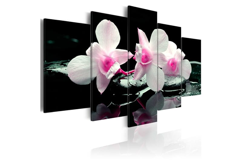 Taulu Rest Of Orchids 200x100, Artgeist sp. z o. o.