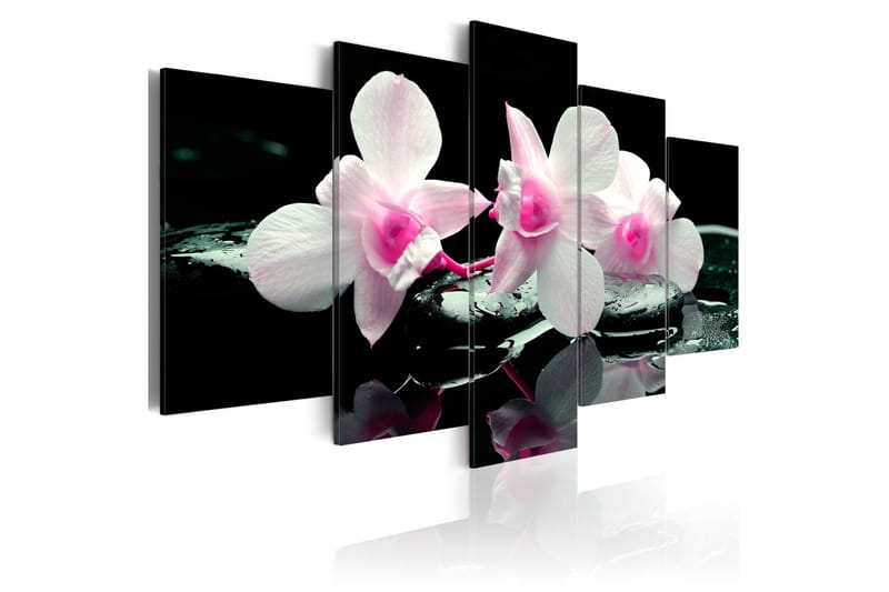 Taulu Rest Of Orchids 200x100 - Artgeist sp. z o. o. - Sisustustuotteet - Taulu & taide - Canvas-taulu