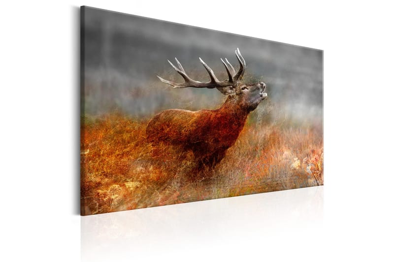 Taulu Roaring Deer 90x60 - Artgeist sp. z o. o. - Sisustustuotteet - Taulu & taide - Canvas-taulu