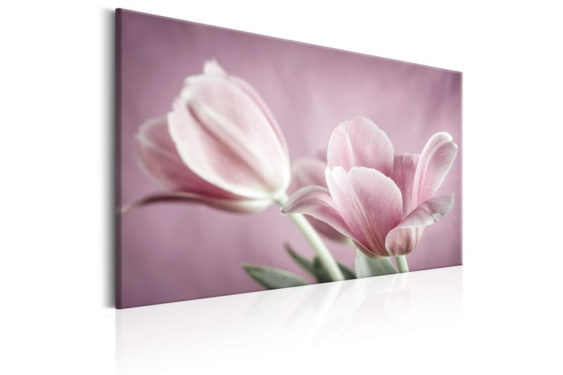 Taulu Romantic Tulips 60x40 - Artgeist sp. z o. o. - Sisustustuotteet - Taulu & taide - Canvas-taulu