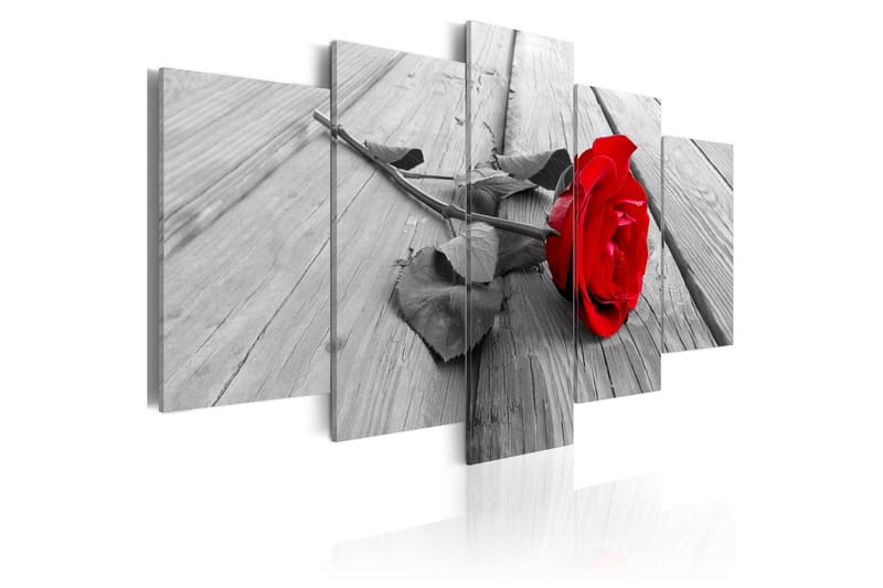 Taulu Rose On Wood 100x50 - Artgeist sp. z o. o. - Sisustustuotteet - Taulu & taide - Canvas-taulu