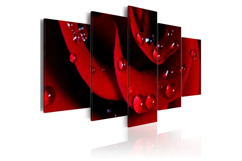 Taulu Rose With Dew 100x50, Artgeist sp. z o. o.