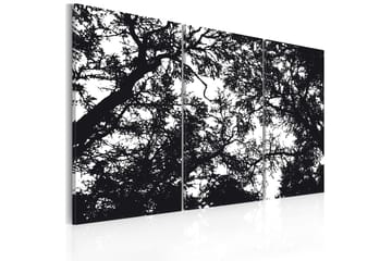 Taulu Sankka Metsä 120x80