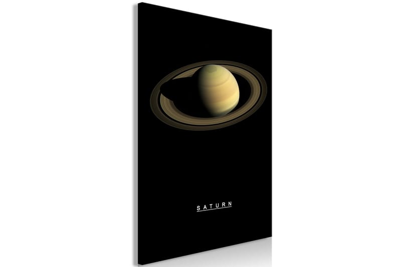 Taulu Saturn (1 Part) Vertical 60x90 - Artgeist sp. z o. o. - Sisustustuotteet - Taulu & taide - Canvas-taulu
