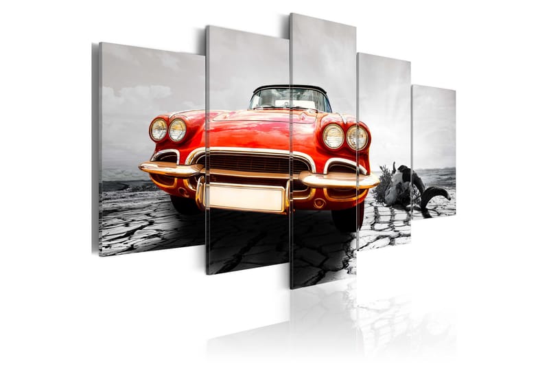 Taulu Scarlet Arrow 100x50, Artgeist sp. z o. o.