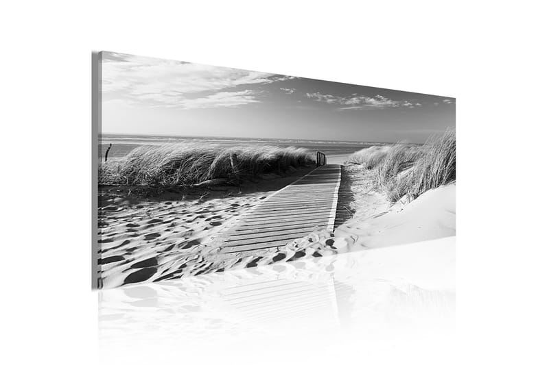 Taulu Sea-Breeze 135x45 - Artgeist sp. z o. o. - Sisustustuotteet - Taulu & taide - Canvas-taulu