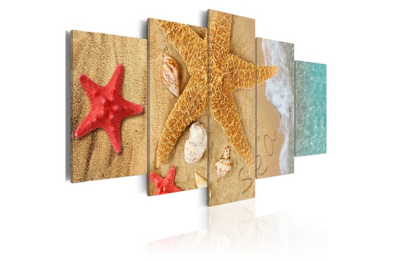 Taulu Sea Treasure 100x50 - Artgeist sp. z o. o. - Sisustustuotteet - Taulu & taide - Canvas-taulu