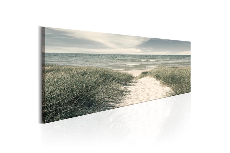 Taulu Secrets Of The Sea 150x50, Artgeist sp. z o. o.