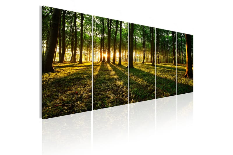 Taulu Shade Of Trees 200x80 - Artgeist sp. z o. o. - Sisustustuotteet - Taulu & taide - Canvas-taulu
