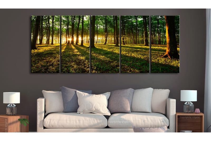 Taulu Shade Of Trees 225x90 - Artgeist sp. z o. o. - Sisustustuotteet - Taulu & taide - Canvas-taulu