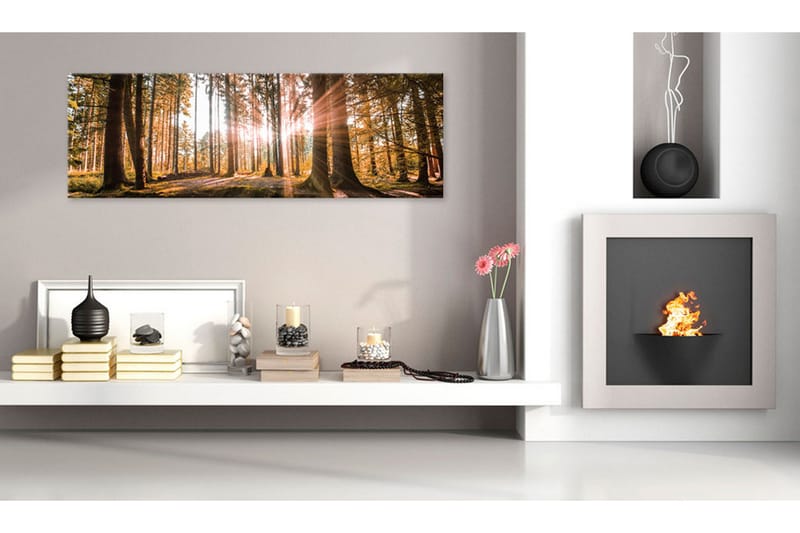 Taulu Small Natural Wonders 120x40 - Artgeist sp. z o. o. - Sisustustuotteet - Taulu & taide - Canvas-taulu