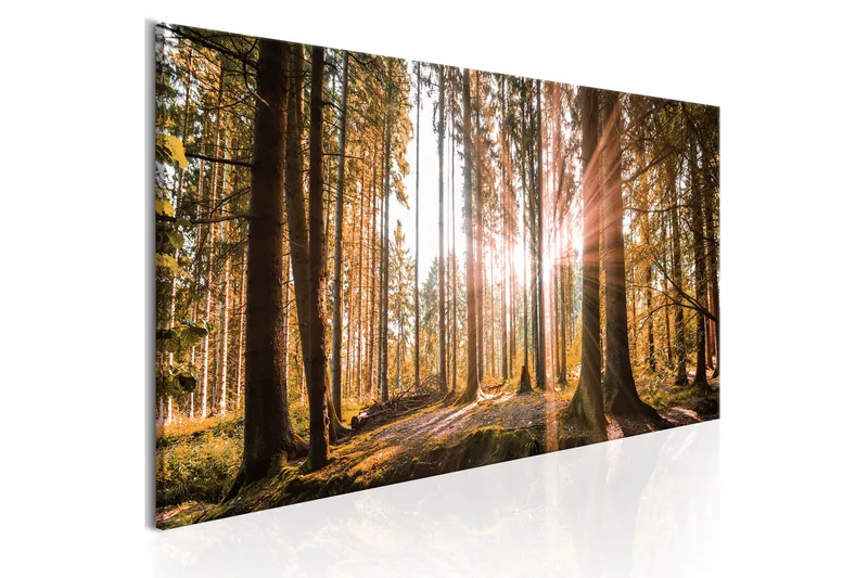 Taulu Small Natural Wonders 120x40, Artgeist sp. z o. o.