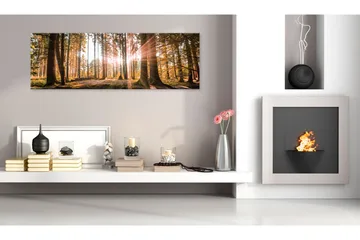 Taulu Small Natural Wonders 150x50 - Artgeist sp. z o. o. - Sisustustuotteet - Taulu & taide - Canvas-taulu
