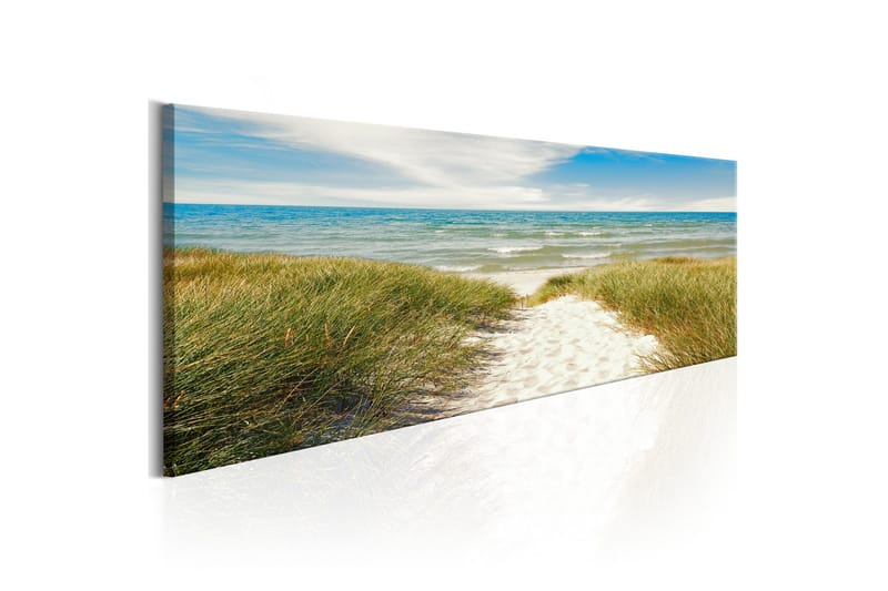 Taulu Solace Of The Sea 150x50, Artgeist sp. z o. o.
