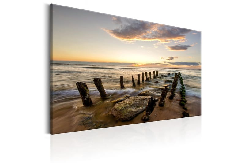 Taulu Song of the Sea 60x40 - Artgeist sp. z o. o. - Sisustustuotteet - Taulu & taide - Canvas-taulu