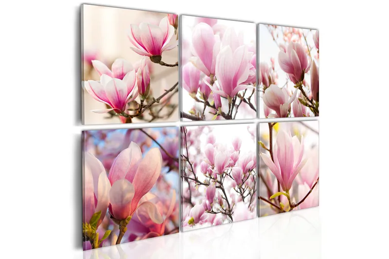 Taulu Southern Magnolias 120x80, Artgeist sp. z o. o.