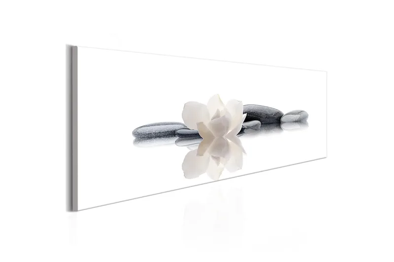 Taulu Spa Beauty And Relaxation 150x50, Artgeist sp. z o. o.