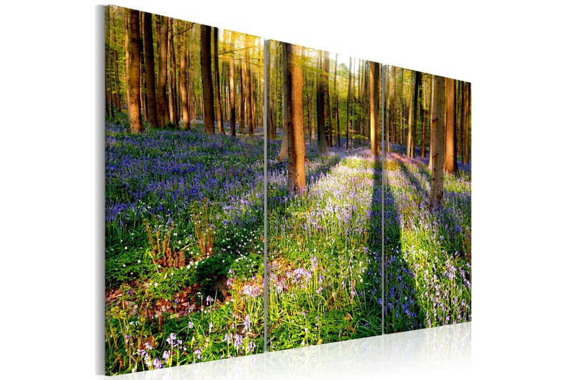 Taulu Spring Forest 90x60, Artgeist sp. z o. o.