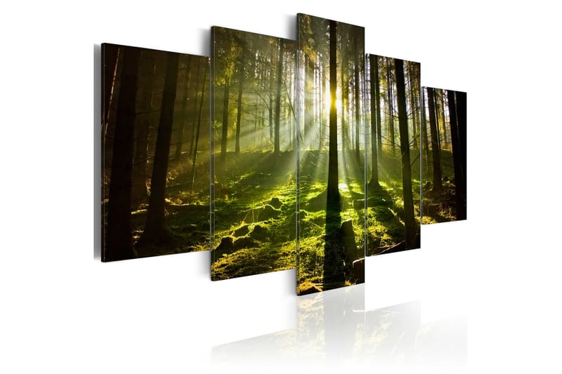 Taulu Spring Silence 200x100 - Artgeist sp. z o. o. - Sisustustuotteet - Taulu & taide - Canvas-taulu