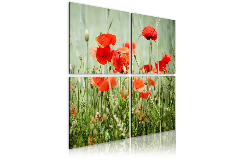 Taulu Springtime 80x80, Artgeist sp. z o. o.